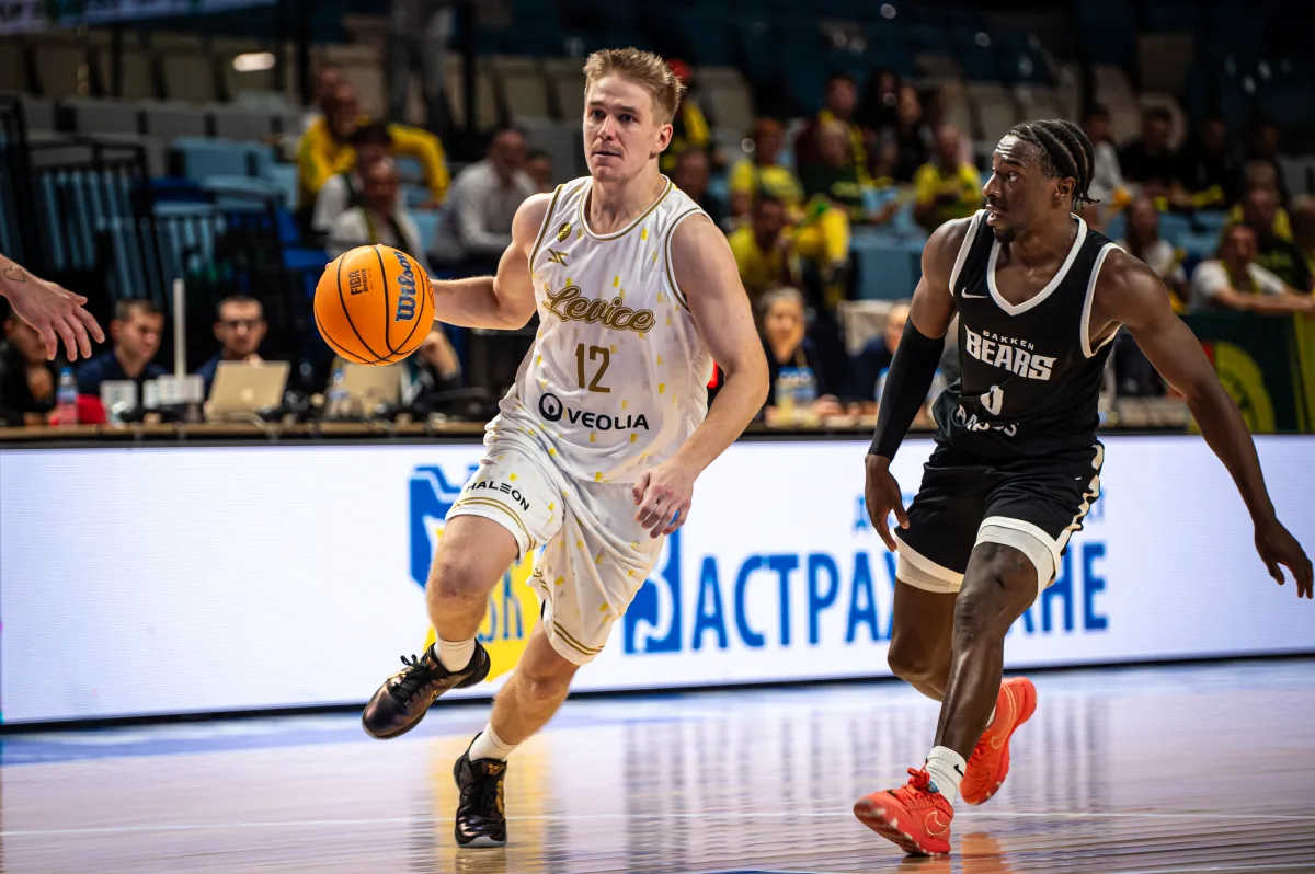 Описание изображения